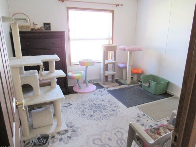 78 Periwinkle Drive, Olmsted Township, OH 44138 Photo 20