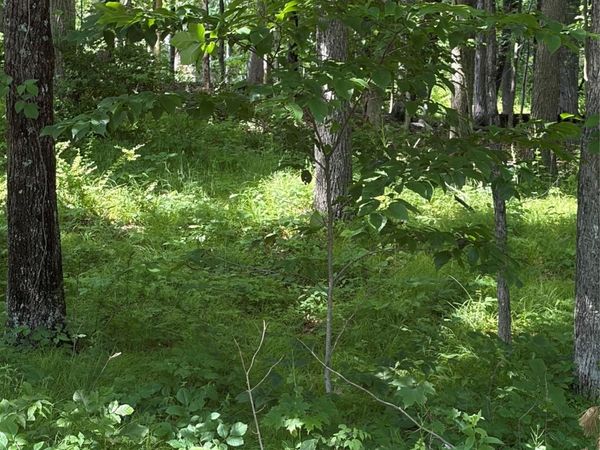 1501 US Route 209, Cuddebackville, NY 12729