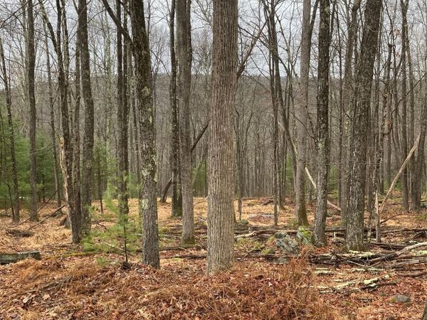 State Route 55, Barryville, NY 12719