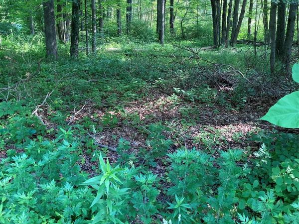 15 Adam Wagner Lane , Mahopac, NY 10541