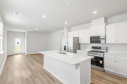 717 Butterfly Ginger Street photo 4