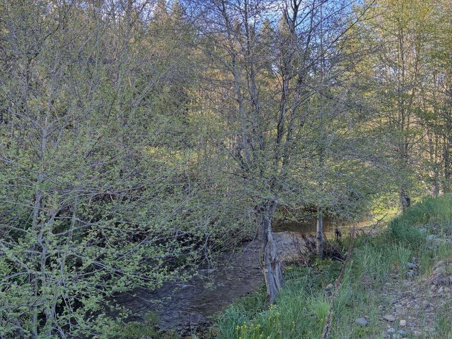 Property Image 74