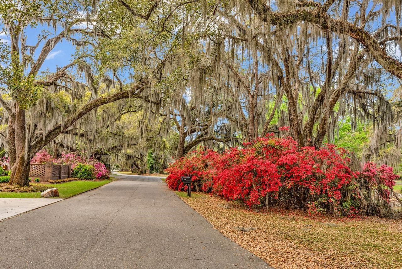 74 Winnowing Way  Photo 45