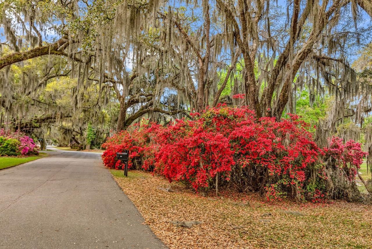 74 Winnowing Way  Photo 46