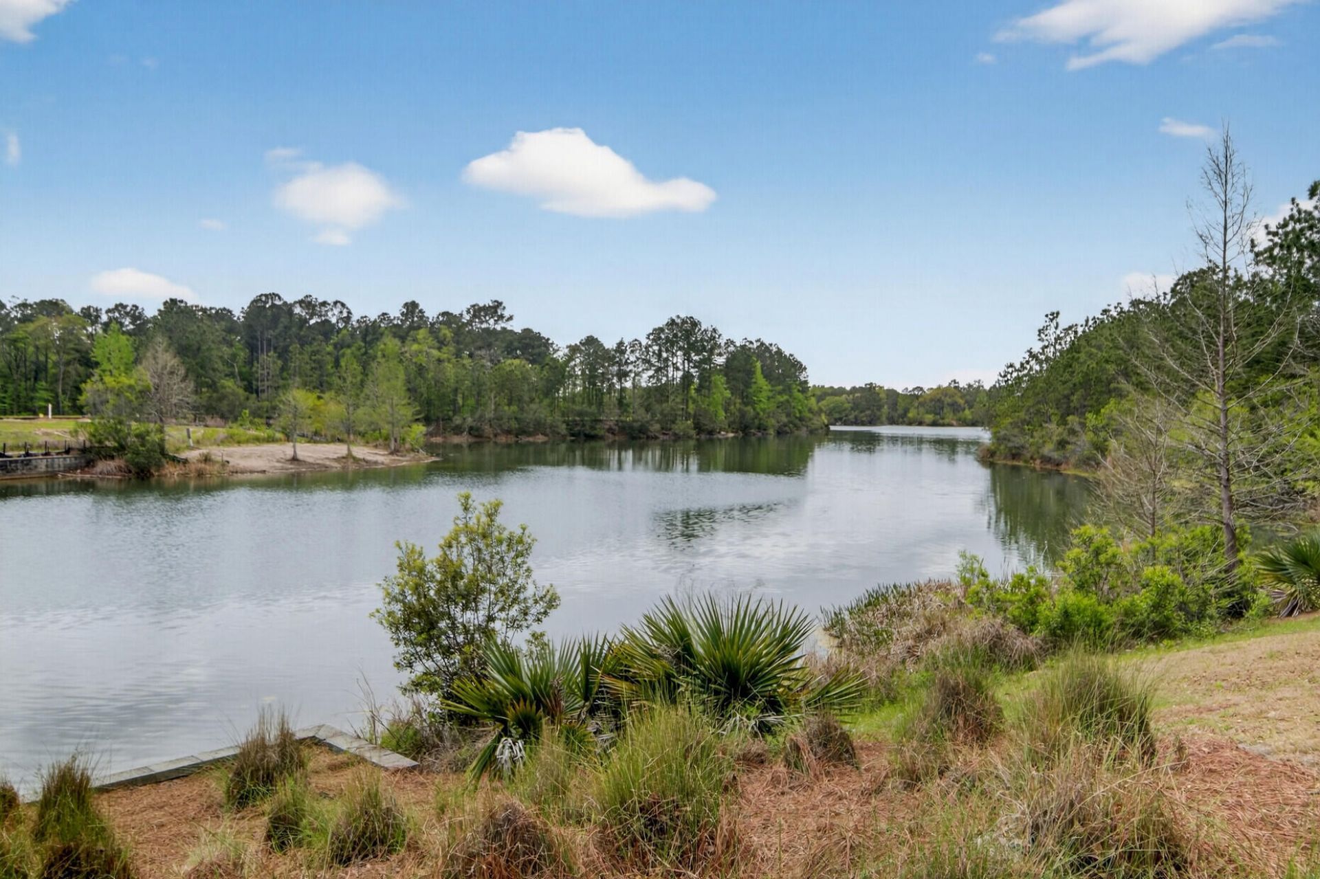 153 Village Ponds Drive Photo 55