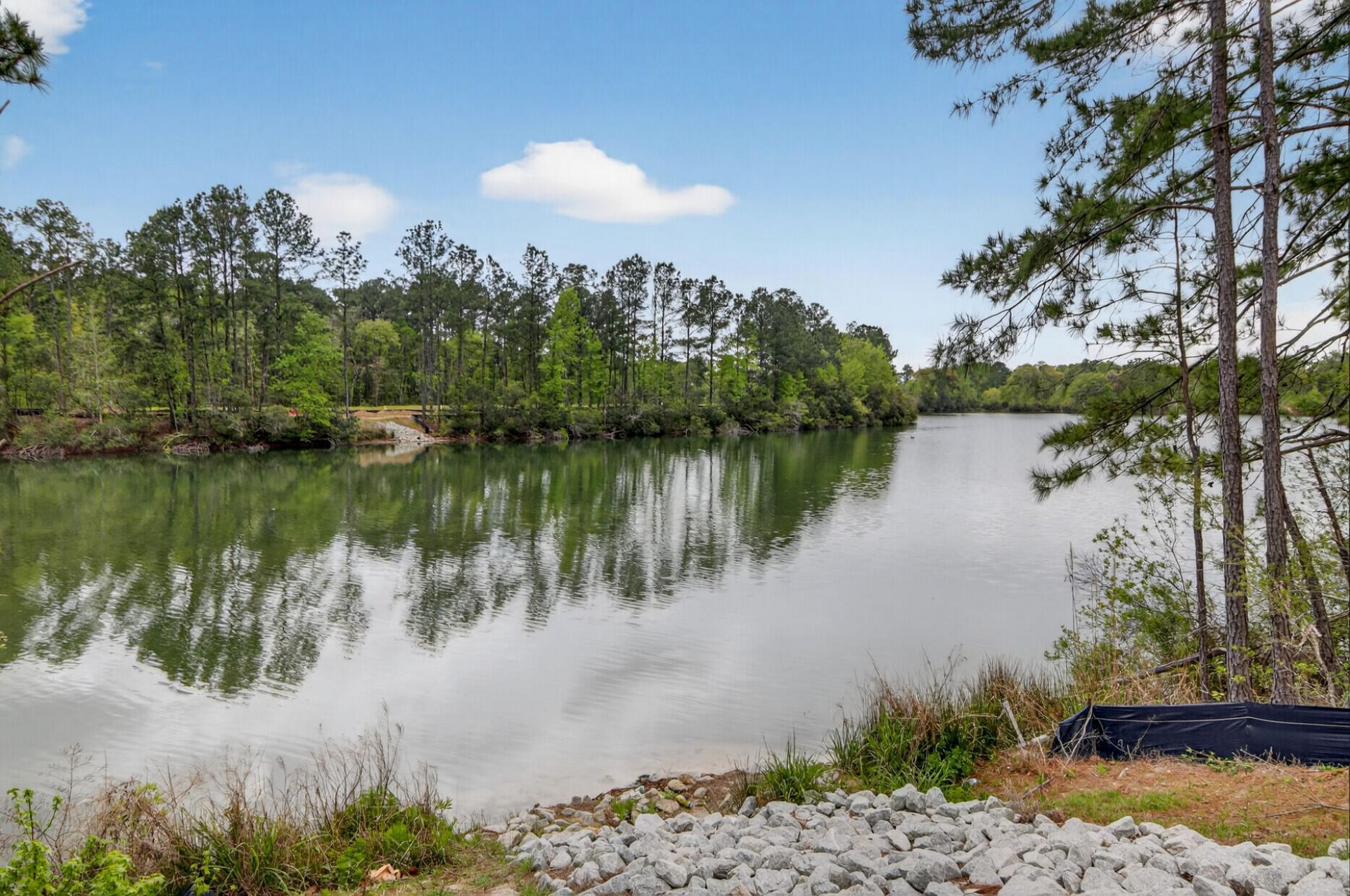 153 Village Ponds Drive Photo 56