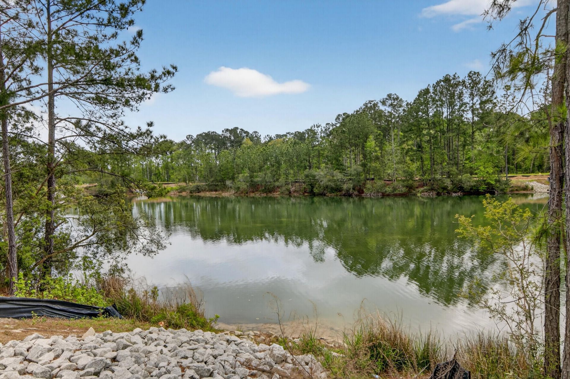 153 Village Ponds Drive Photo 57