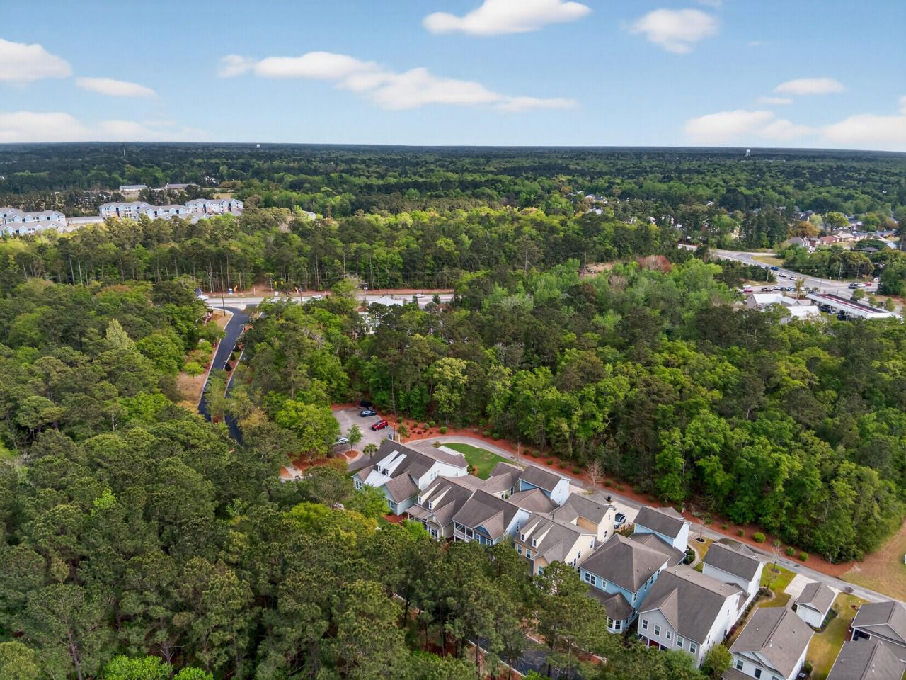 153 Village Ponds Drive Photo 65