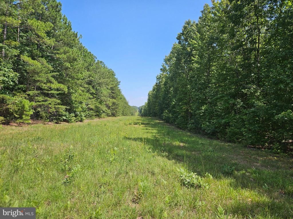 100 Ac W JAMES ANDERSON HIGHWAY, GLADSTONE, VA 24553