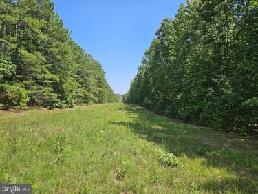 100 Ac W JAMES ANDERSON HIGHWAY, GLADSTONE, VA 24553