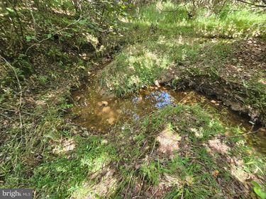 100 Ac W JAMES ANDERSON HIGHWAY, GLADSTONE, VA 24553