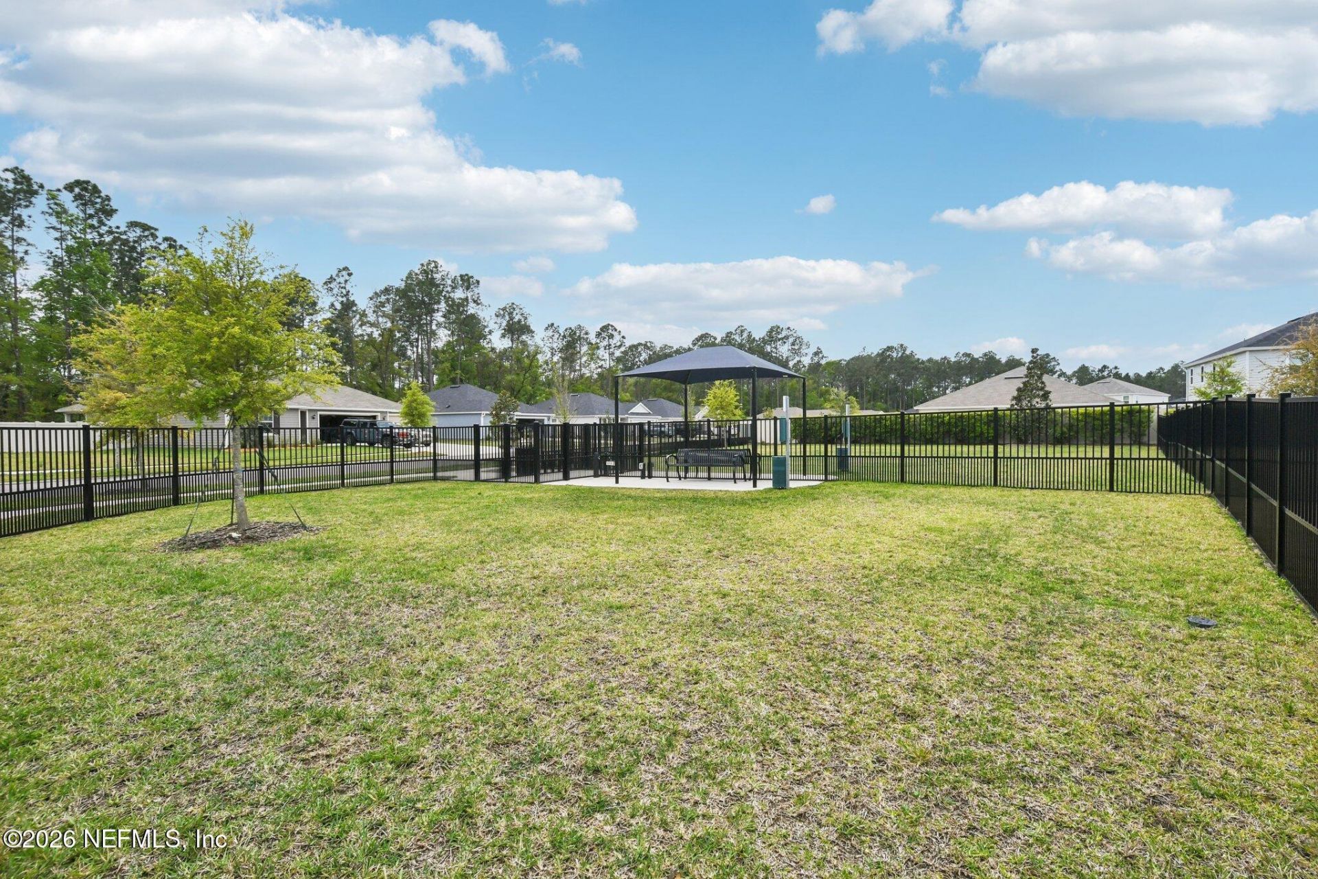 2635 Windsor Lakes Way, Green Cove Springs, FL 32043 Photo