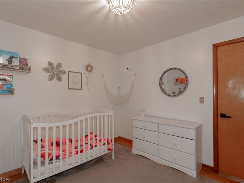 5162 Woodside Drive, Geneva, OH 44041 Photo 30