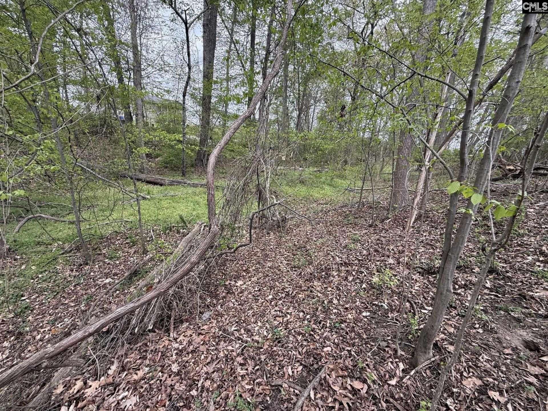 Barrett Road Photo 16