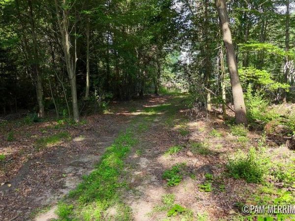 Parcel B Youngman Road, Trufant, MI 49347