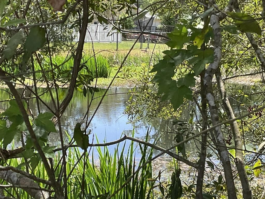 4311 Bradford Circle Photo 29