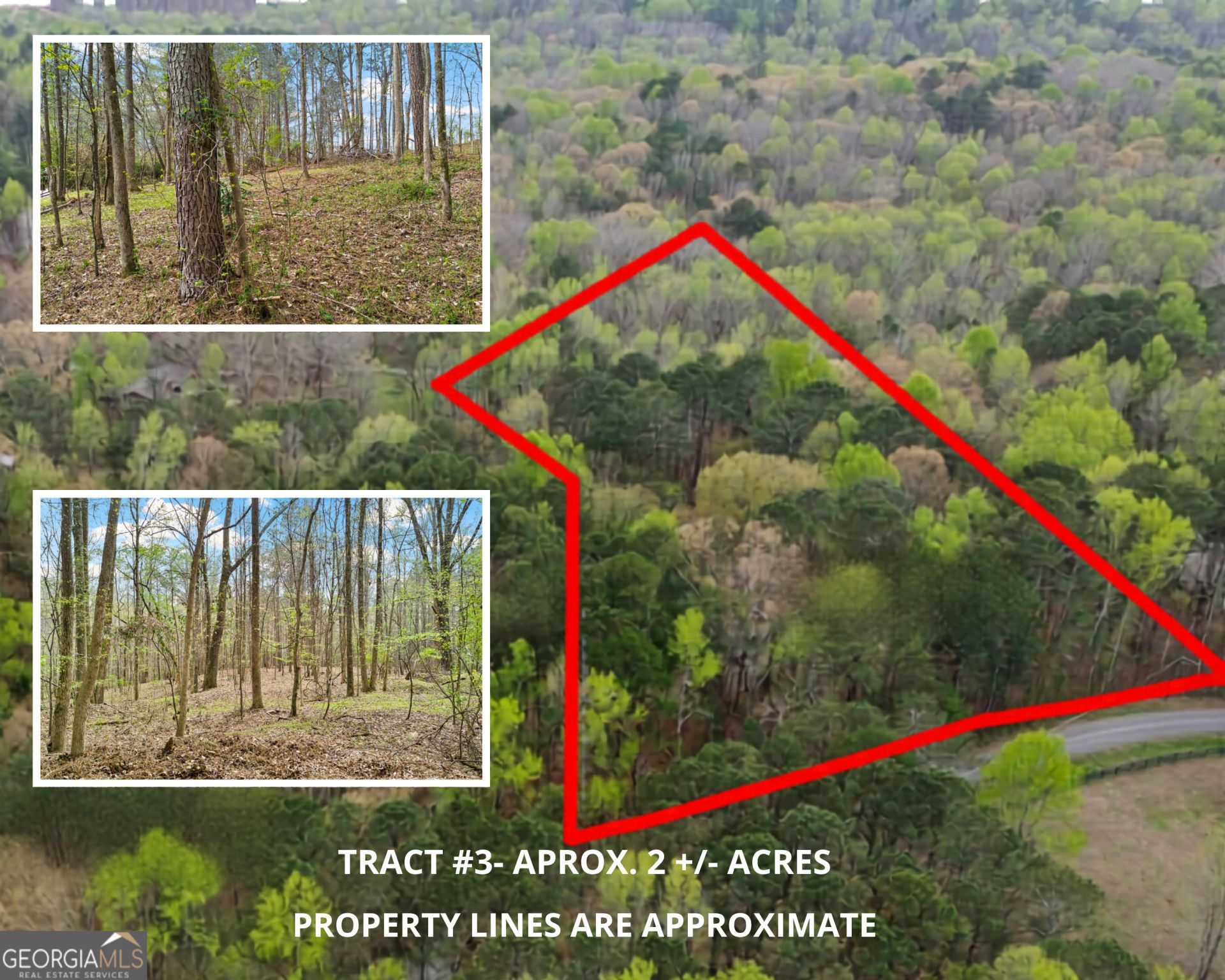 389 N Lake Drive, Lot ##3, Canton, GA 30115 Main Photo