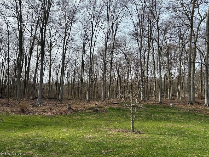 15961 Terramont Street NE, Minerva, OH 44657 Photo 27