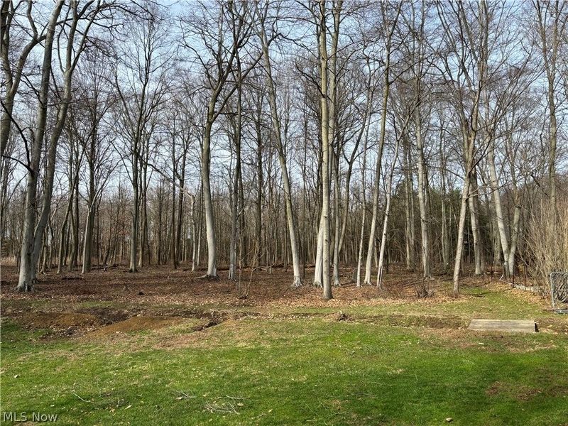 15961 Terramont Street NE, Minerva, OH 44657 Photo 28