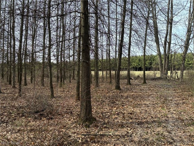 15961 Terramont Street NE, Minerva, OH 44657 Photo 30