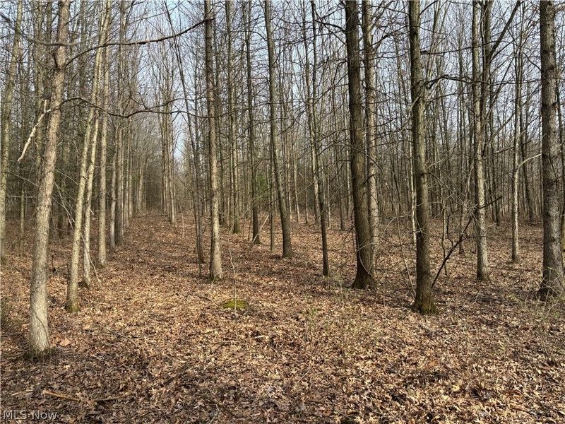 15961 Terramont Street NE, Minerva, OH 44657 Photo 32