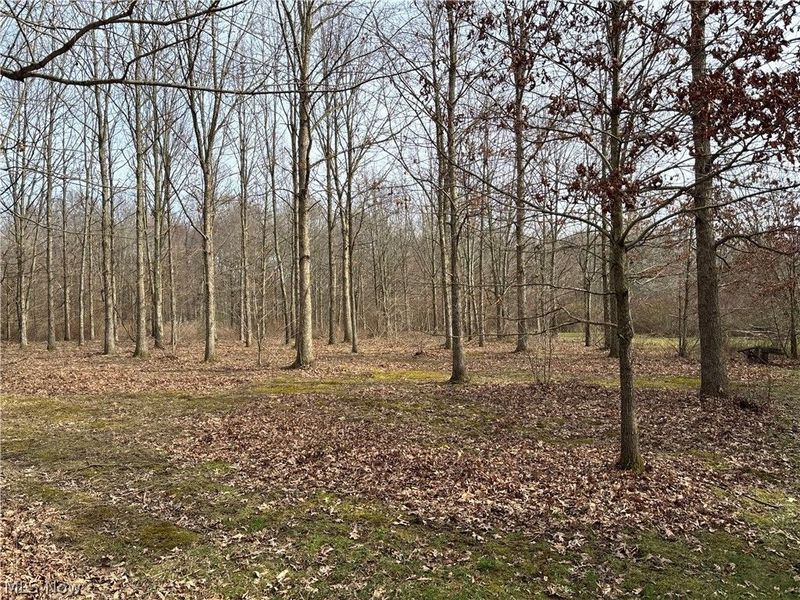 15961 Terramont Street NE, Minerva, OH 44657 Photo 34