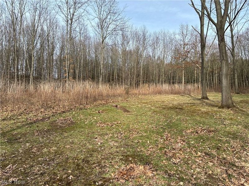 15961 Terramont Street NE, Minerva, OH 44657 Photo 35