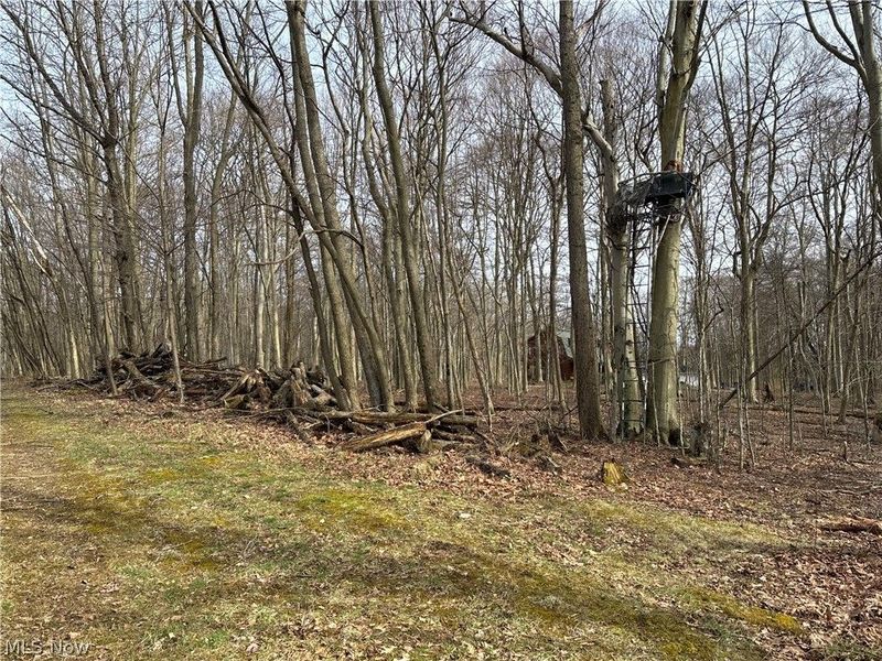 15961 Terramont Street NE, Minerva, OH 44657 Photo 36