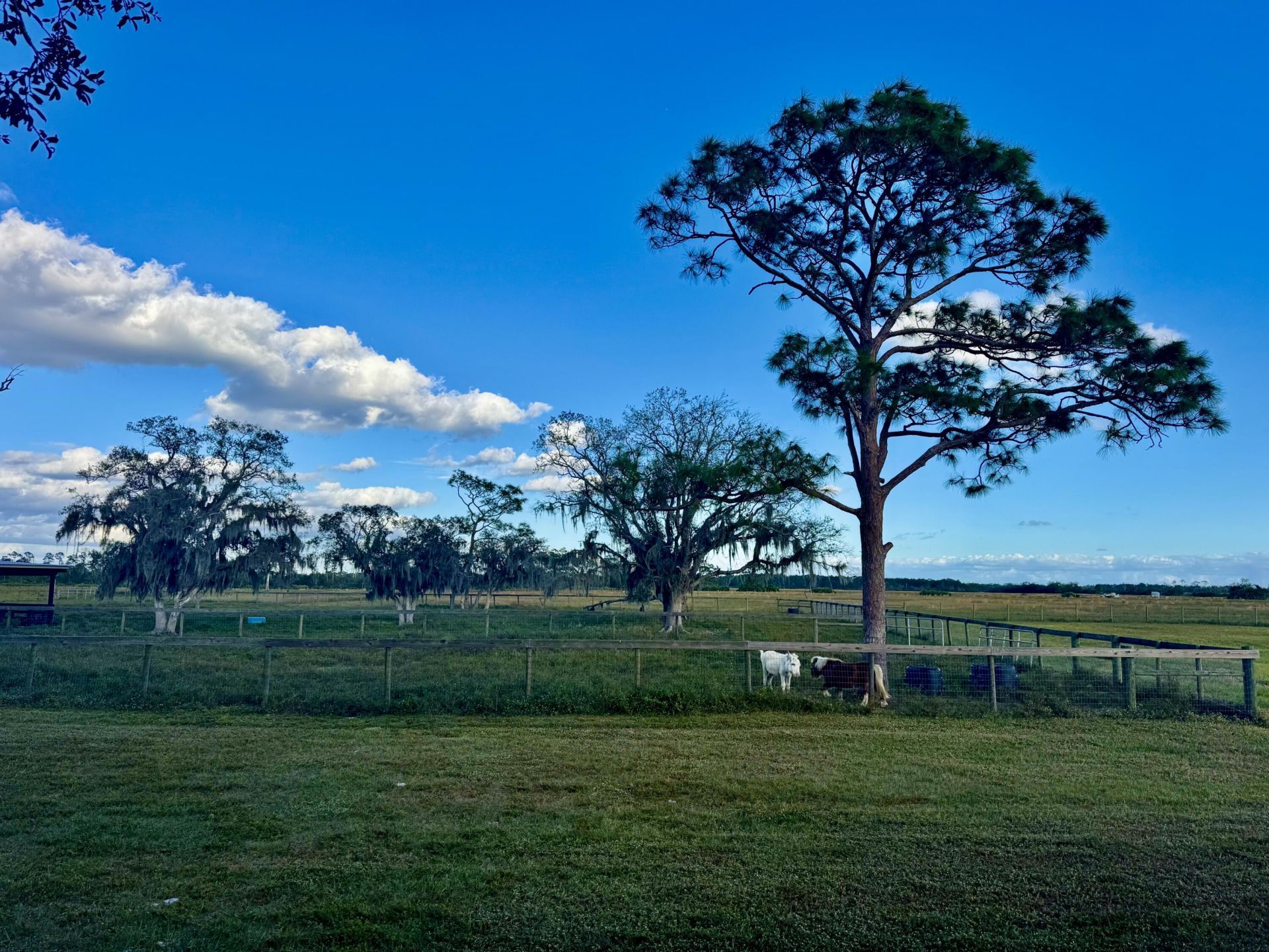 14151 E Center Street, Okeechobee, FL 34974 Photo