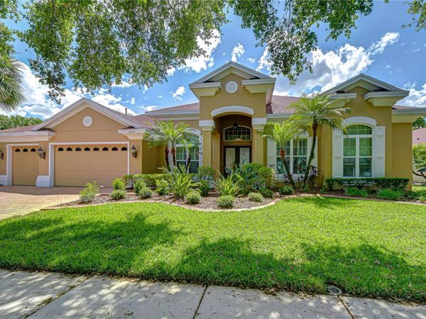 21338 LAKE VIENNA DRIVE DRIVE, LAND O LAKES, FL 34638