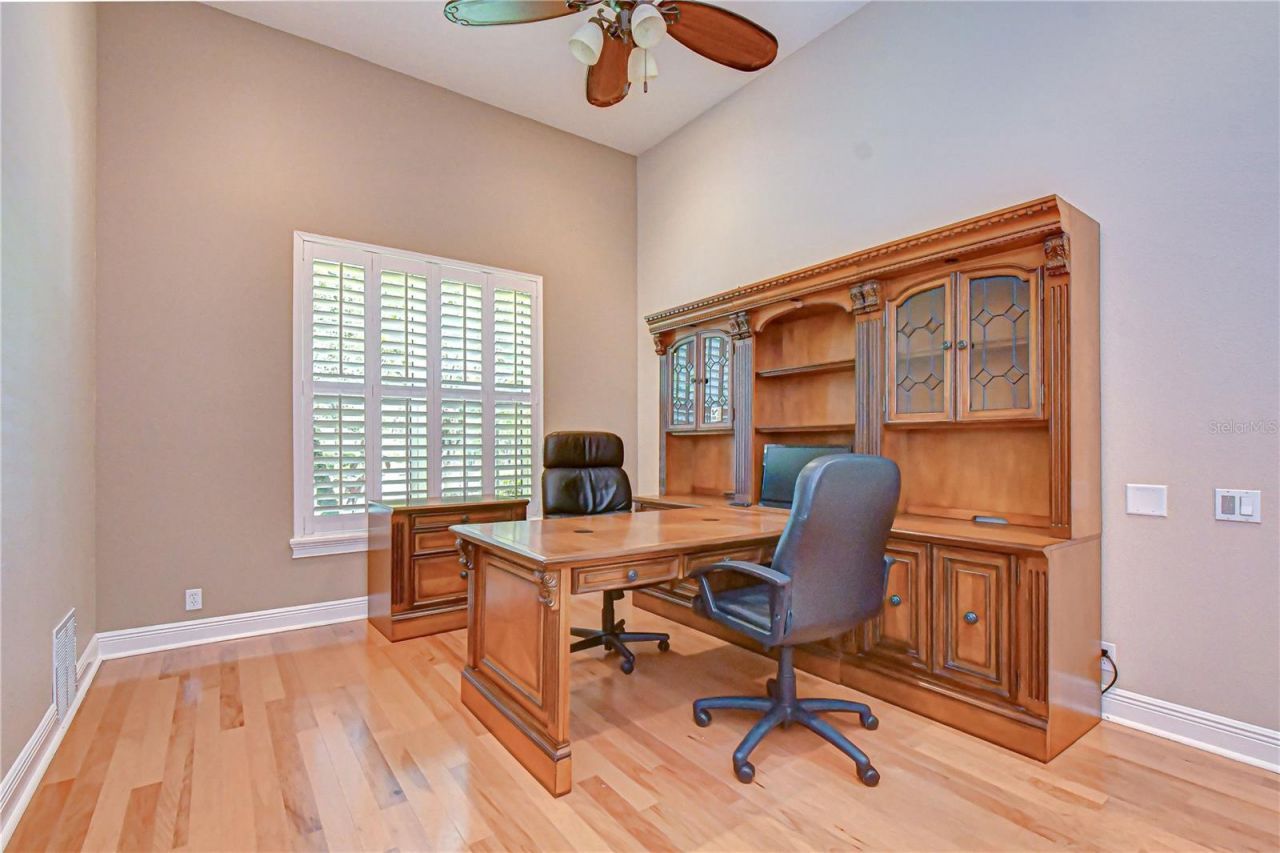 21338 Lake Vienna Drive Drive, Land O Lakes, FL 34638 Photo