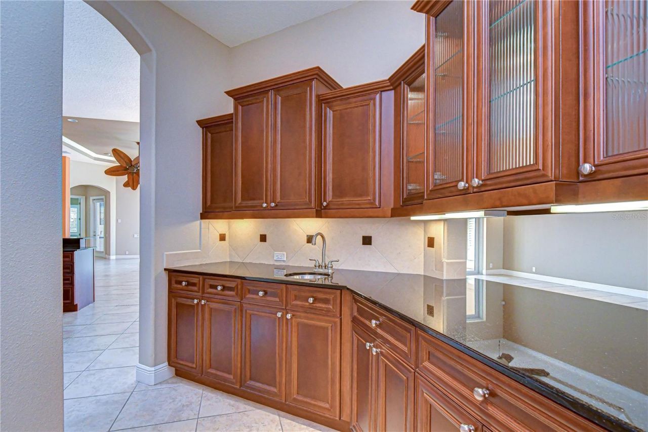 21338 Lake Vienna Drive Drive, Land O Lakes, FL 34638 Photo