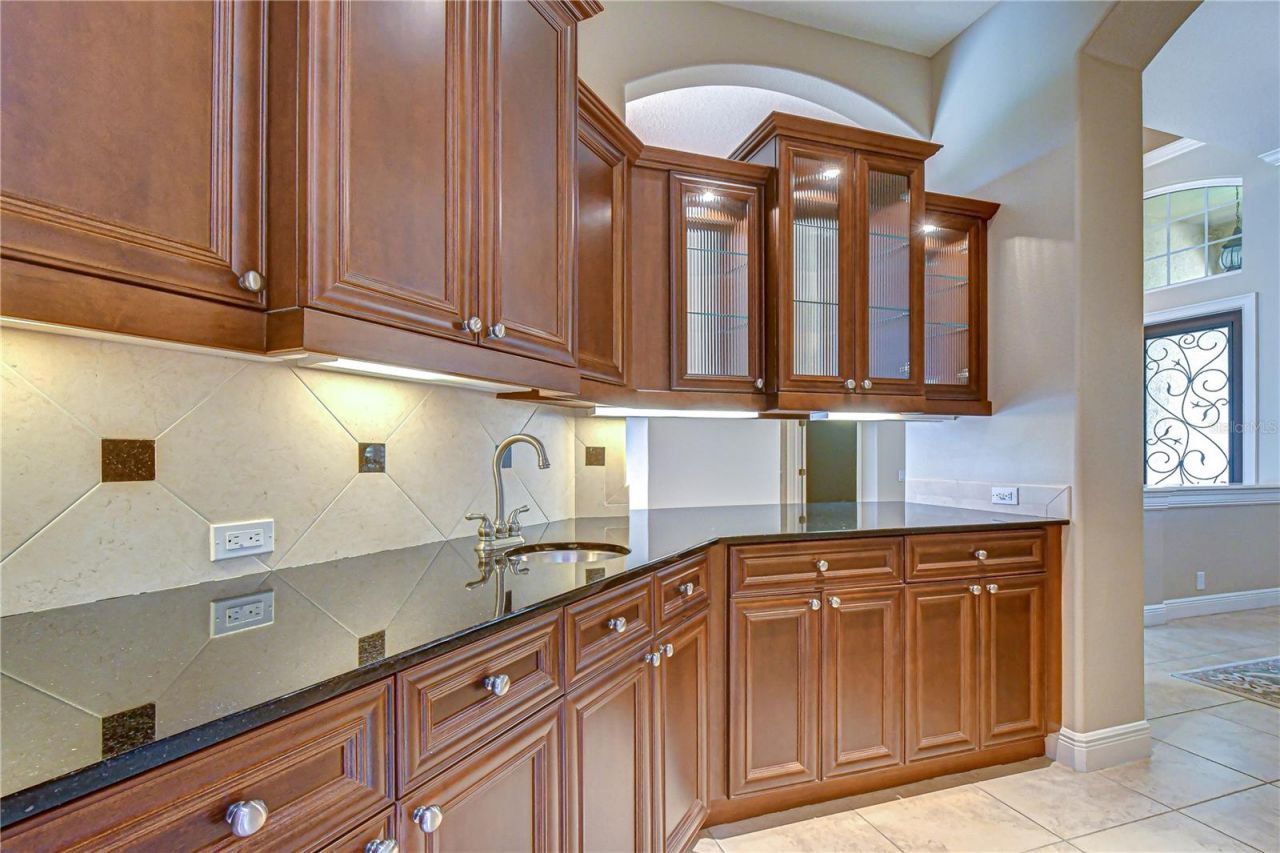 21338 Lake Vienna Drive Drive, Land O Lakes, FL 34638 Photo