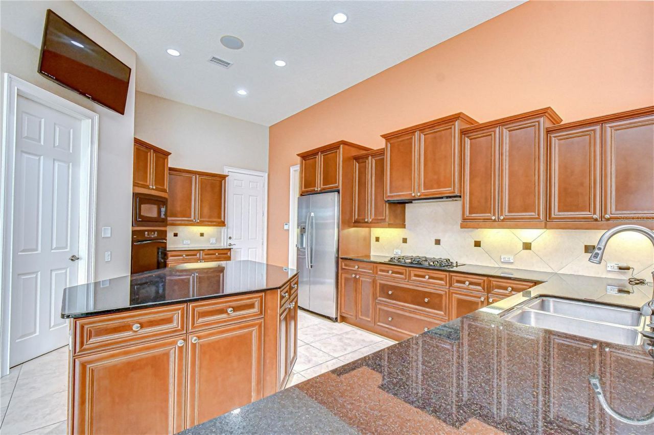 21338 Lake Vienna Drive Drive, Land O Lakes, FL 34638 Photo