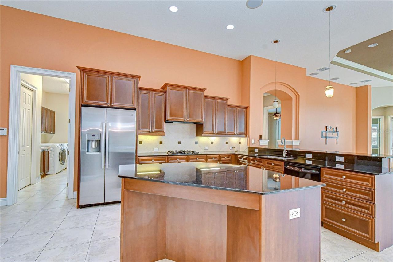 21338 Lake Vienna Drive Drive, Land O Lakes, FL 34638 Photo