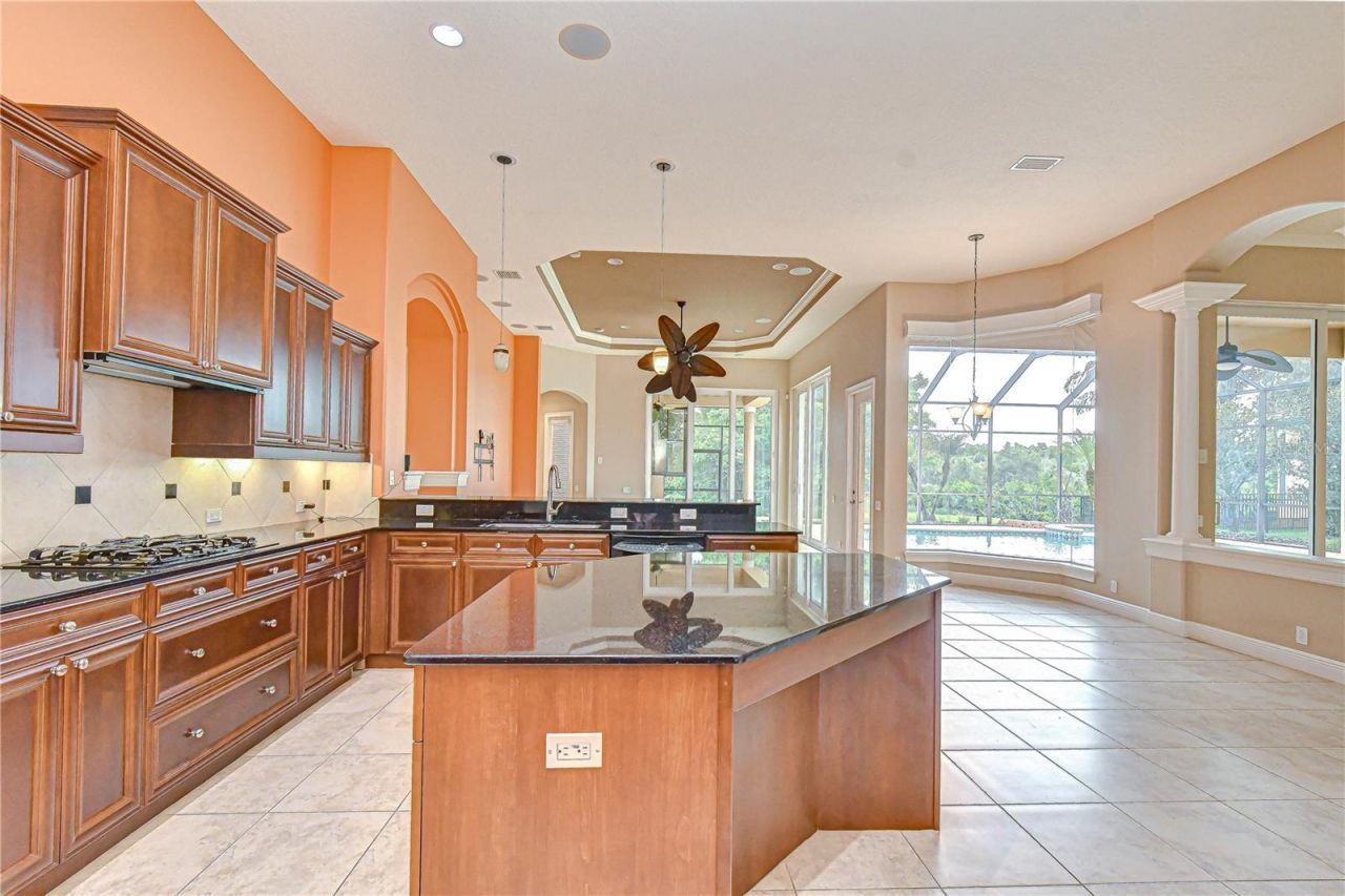 21338 Lake Vienna Drive Drive, Land O Lakes, FL 34638 Photo