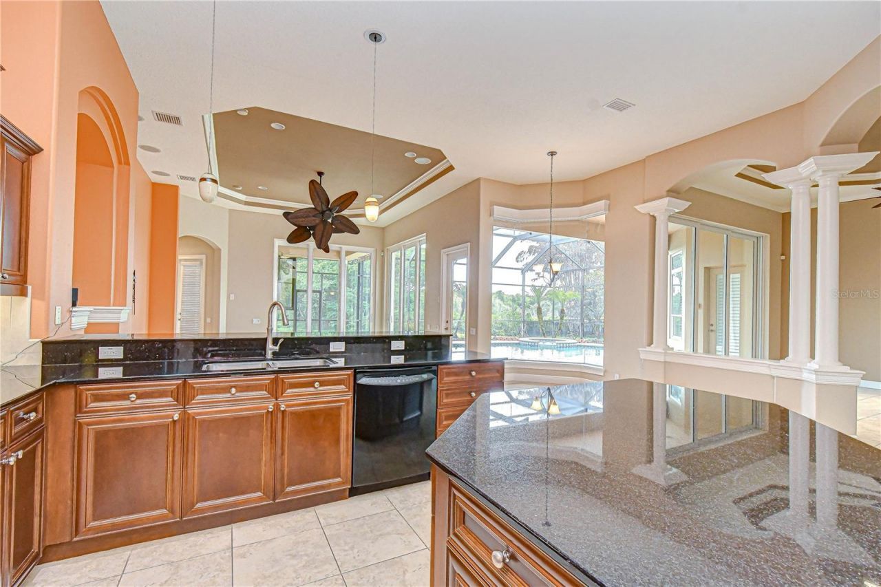 21338 Lake Vienna Drive Drive, Land O Lakes, FL 34638 Photo