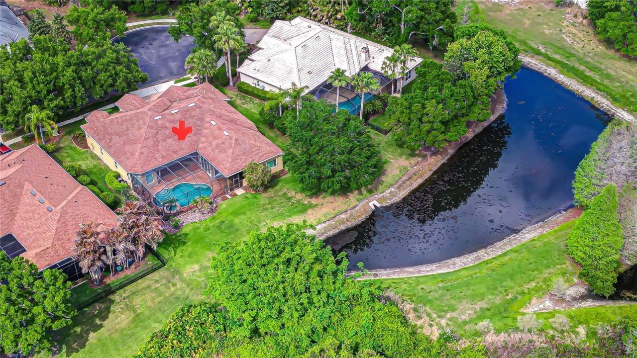 21338 Lake Vienna Drive Drive, Land O Lakes, FL 34638 Photo