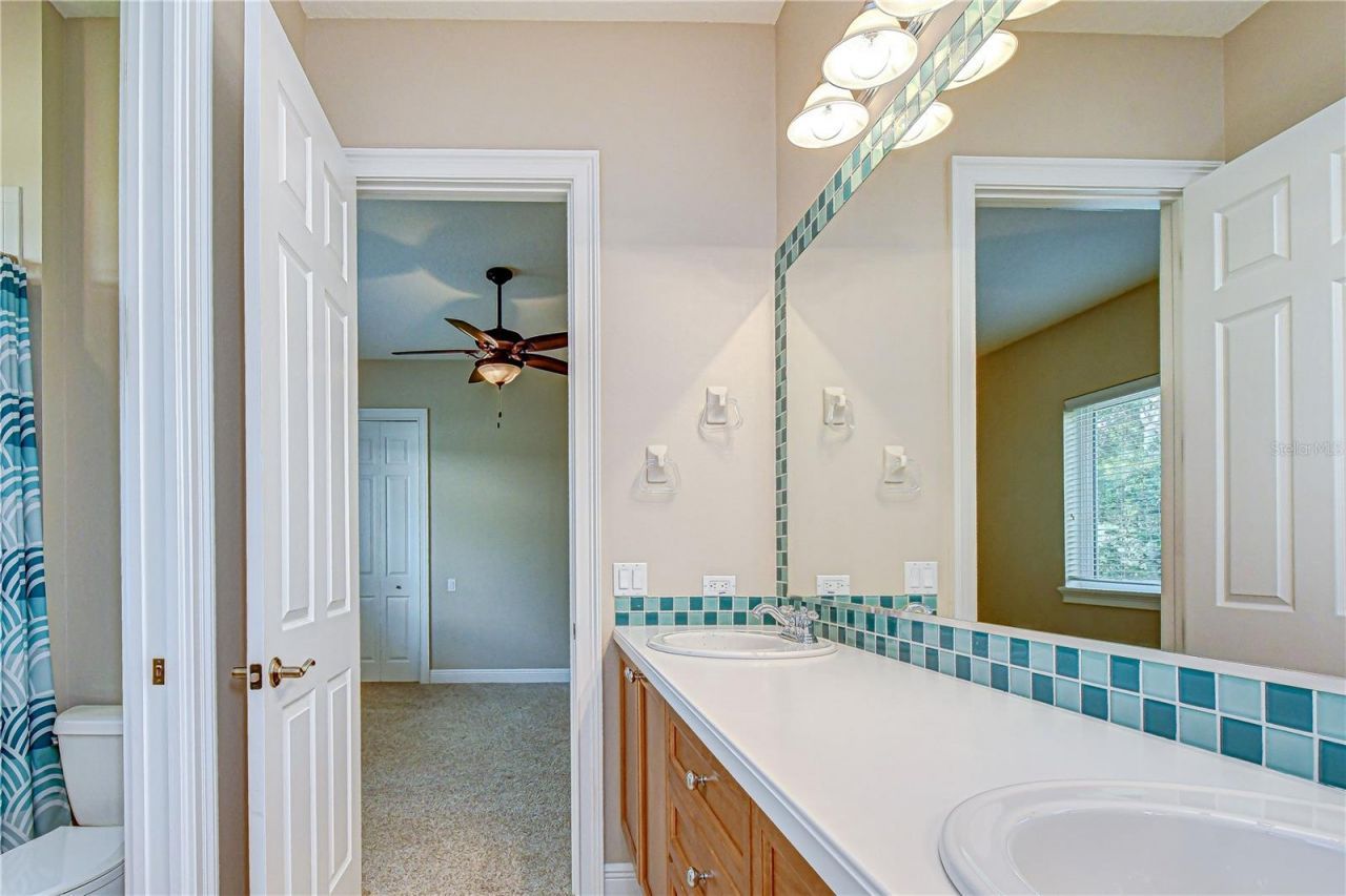 21338 Lake Vienna Drive Drive, Land O Lakes, FL 34638 Photo