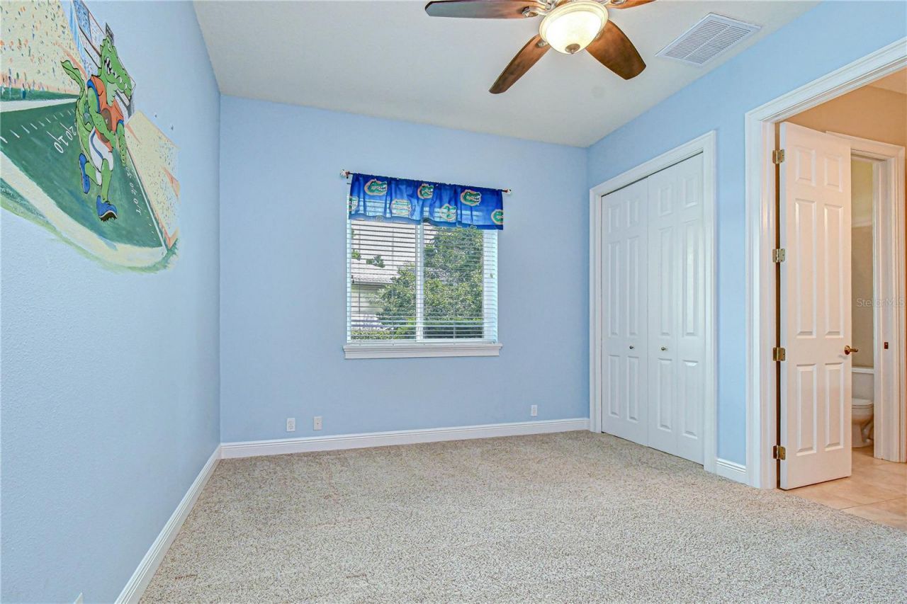 21338 Lake Vienna Drive Drive, Land O Lakes, FL 34638 Photo