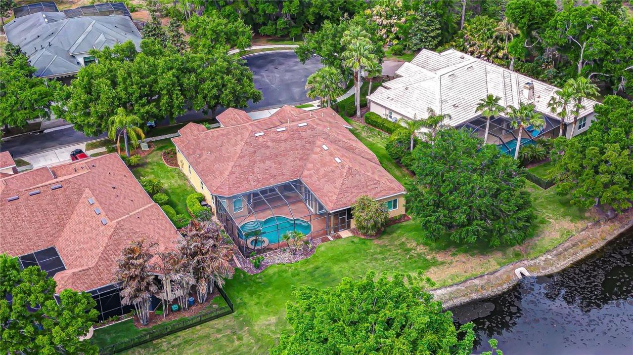 21338 Lake Vienna Drive Drive, Land O Lakes, FL 34638 Photo