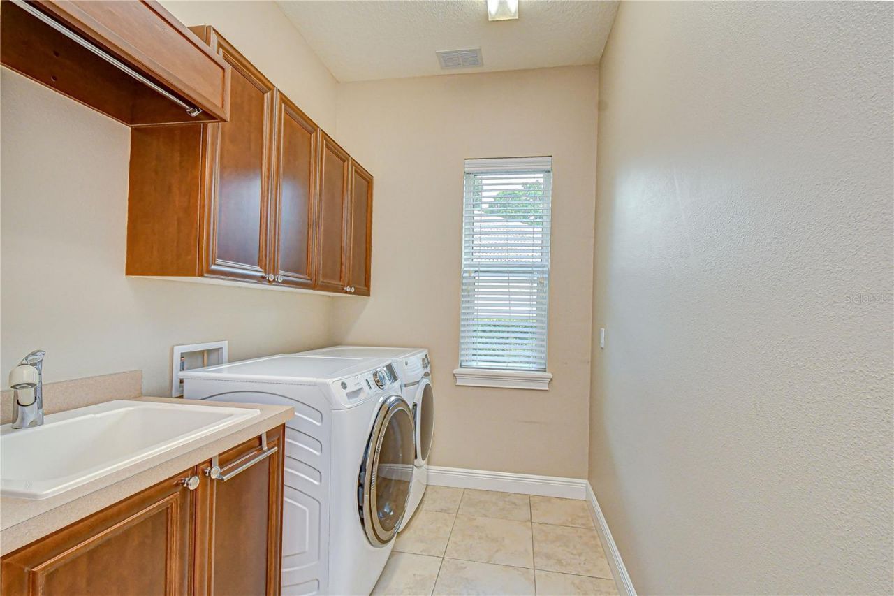 21338 Lake Vienna Drive Drive, Land O Lakes, FL 34638 Photo