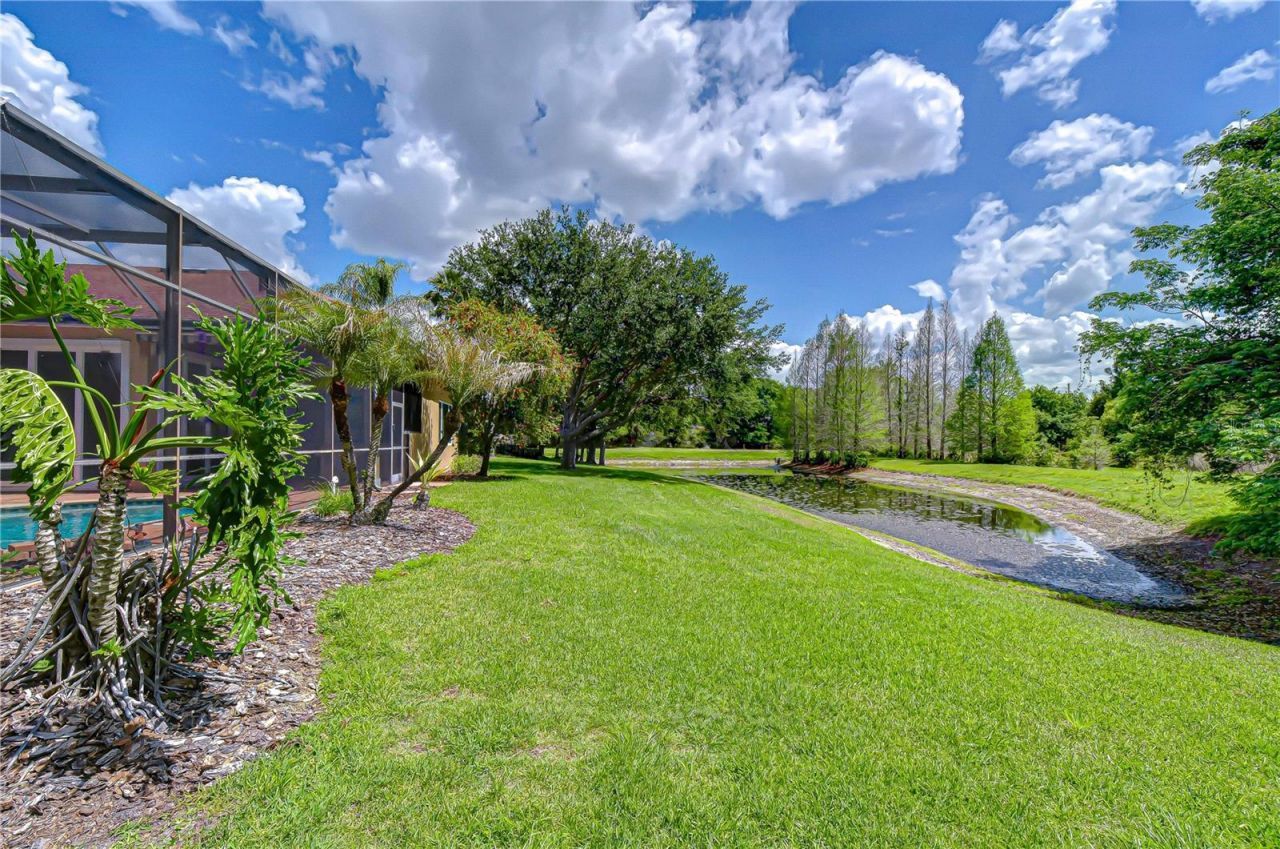 21338 Lake Vienna Drive Drive, Land O Lakes, FL 34638 Photo