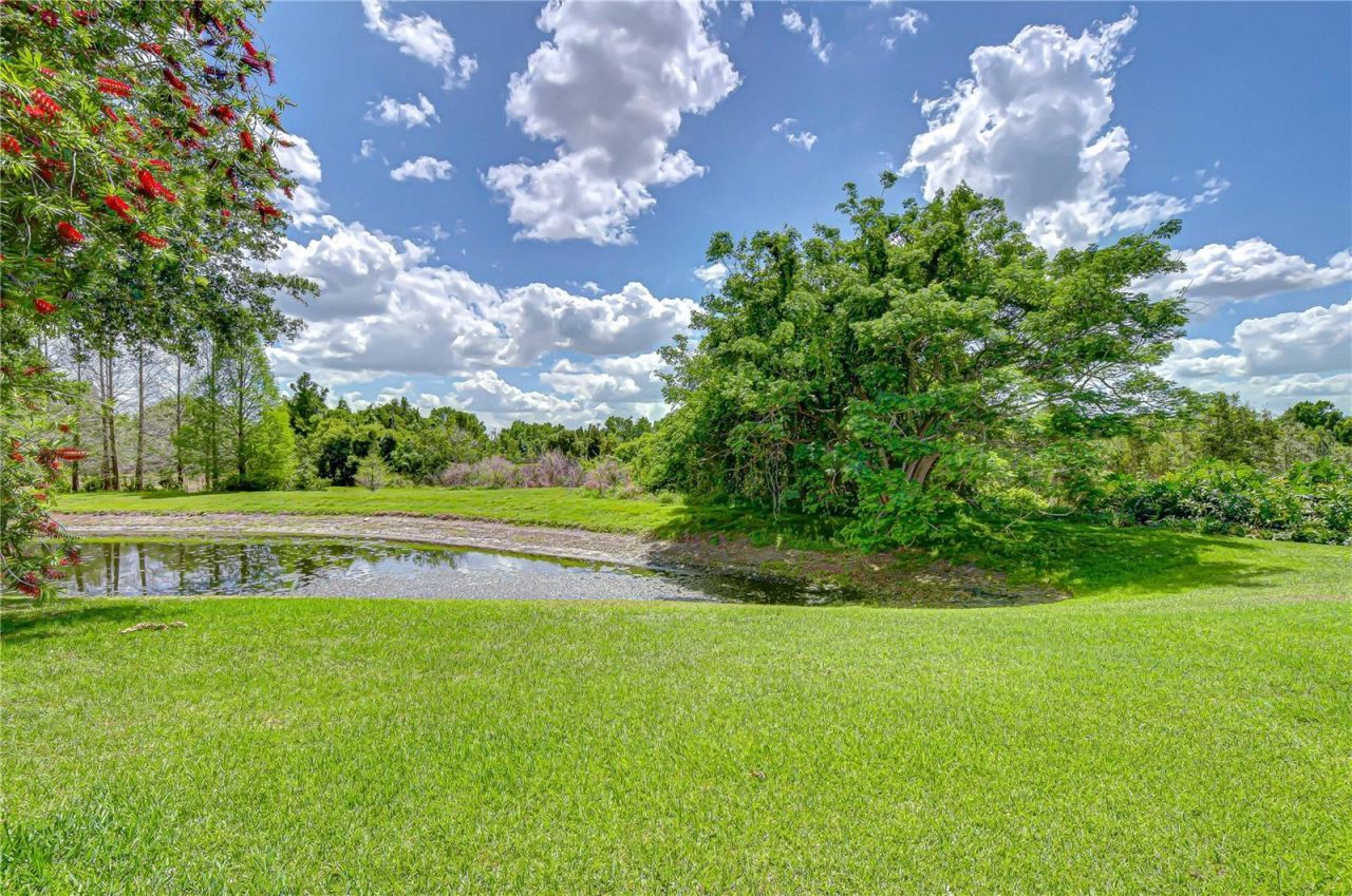 21338 Lake Vienna Drive Drive, Land O Lakes, FL 34638 Photo