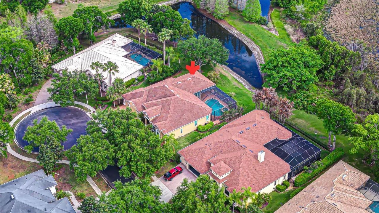 21338 Lake Vienna Drive Drive, Land O Lakes, FL 34638 Photo