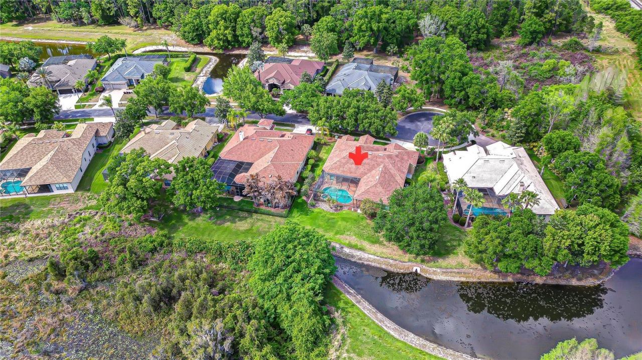 21338 Lake Vienna Drive Drive, Land O Lakes, FL 34638 Photo