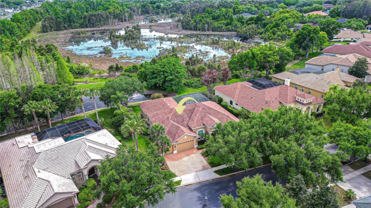 21338 Lake Vienna Drive Drive, Land O Lakes, FL 34638 Photo