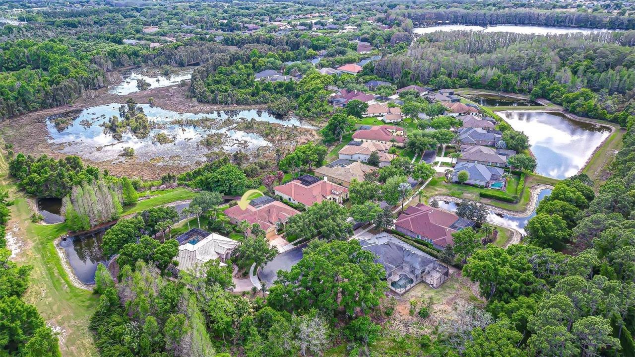 21338 Lake Vienna Drive Drive, Land O Lakes, FL 34638 Photo