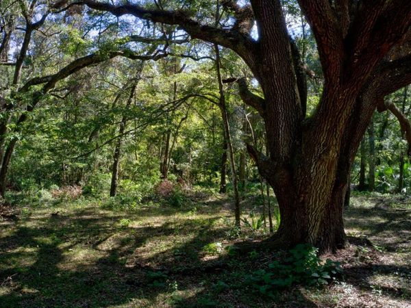 5005 SW 63RD BOULEVARD , GAINESVILLE, FL 32608