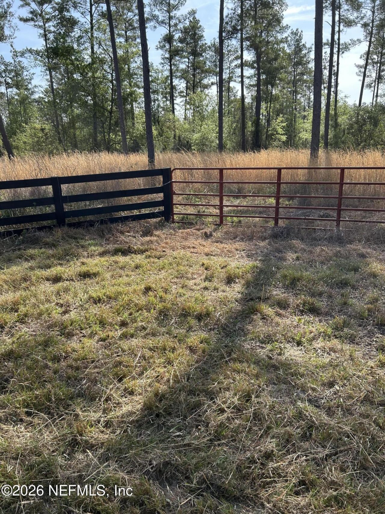 0 NW Falling Creek Road, Lake City, FL 32055 Photo